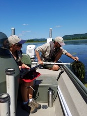 Biologist in a boat examines plants sampled from the lake.