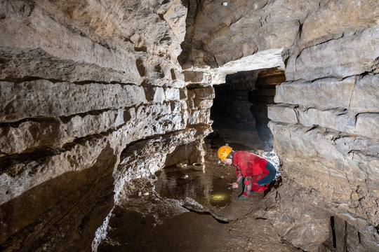 Cave manager Dawn Ryan scans a surface pool for invertebrates at Mystery Cave