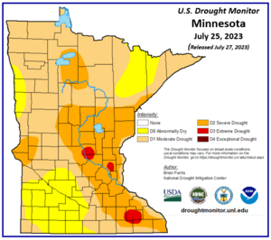 U.S. Drought Monitor Minnesota map as of July 25, 2023