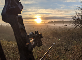 archery hunting scene around sunrise with a wetland area
