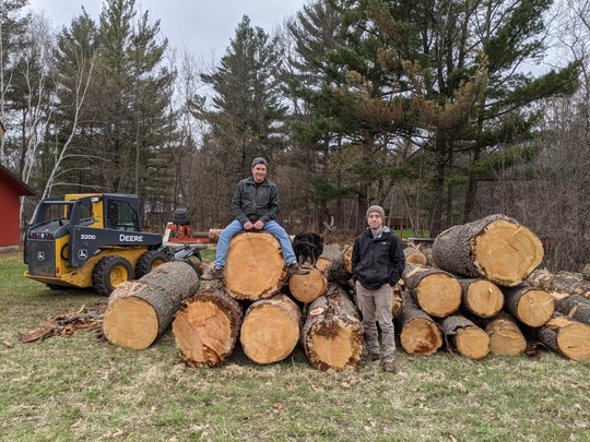 Severt's Woods sustainable timber operation