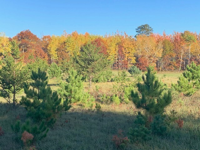 Jeff Laurel conservation easement land