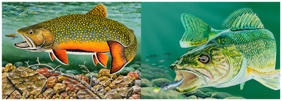 Two paintings of fish