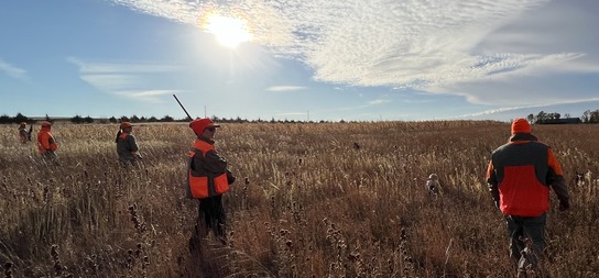 Your Invitation to the 2023 Minnesota Governor's Pheasant Hunting Opener