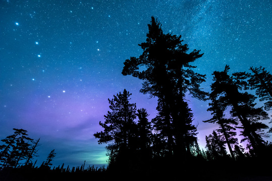 Big dipper constellation and northern lights glowing pink and green, silhouettes of trees in the foreground. 