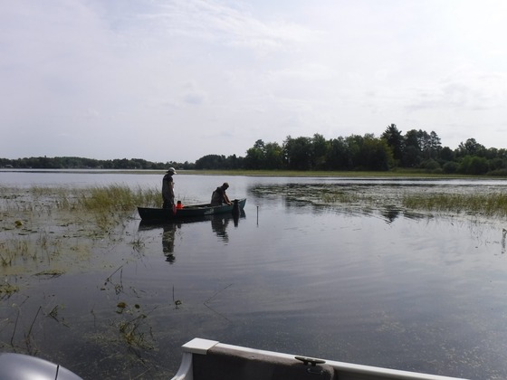 Two men in a boat search for starry stonewort in a lake