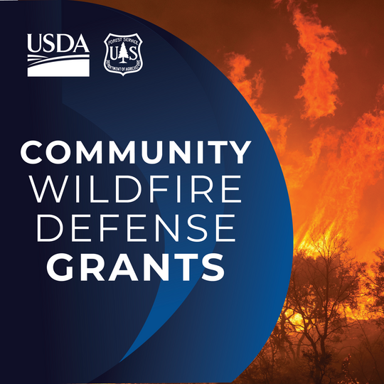 community wildfire defense grants