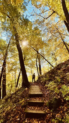 Trail with steps in a hill, sun shining through yellow leaves on tall trees. The silhouette of a person is seen in the center of the image.