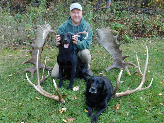 A man and two black labs, surrounded by antlers and holding the antlers to one of the dog's heads.