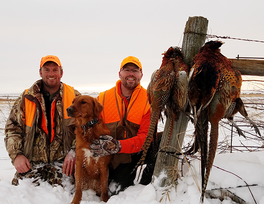 two pheasant hunters and a dog in snow with pheasants they harvested