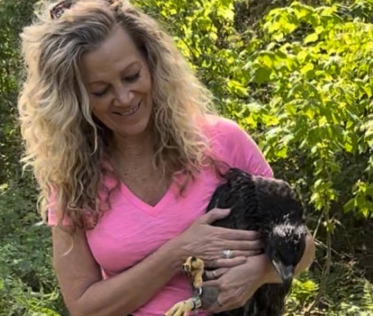 A woman in a pink shirt holding and looking at a bird
