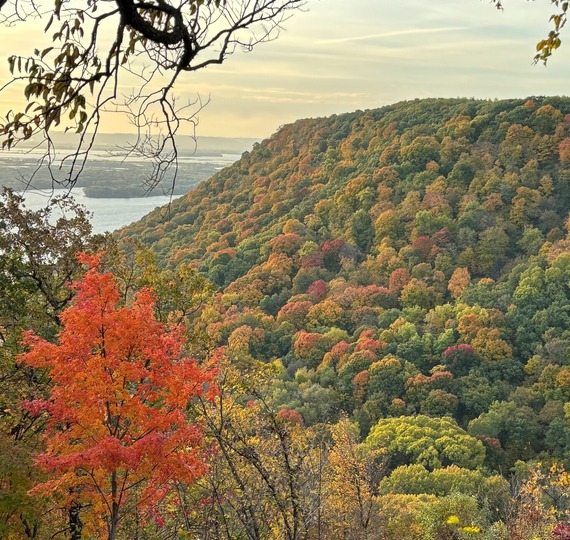 Fall colors on bluffs by a river. A bright red tree is seen in the foreground.