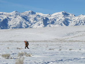 an elk hunter walking out west with mountains in the background