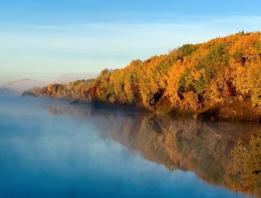 Trees showing their best fall colors on the shores of a misty lake.