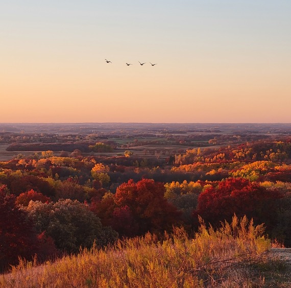 Sunrise over trees in fall colors.