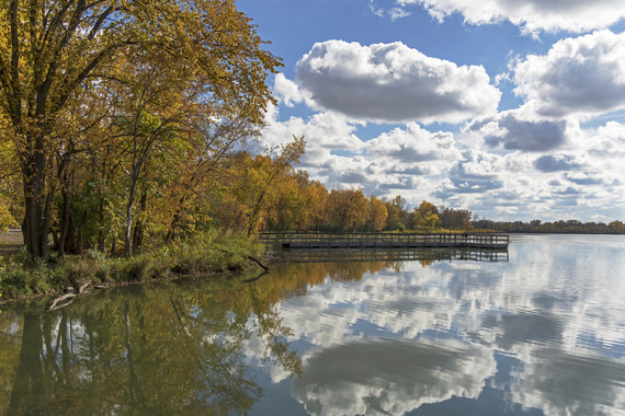 Clouds and trees reflected on a lake.