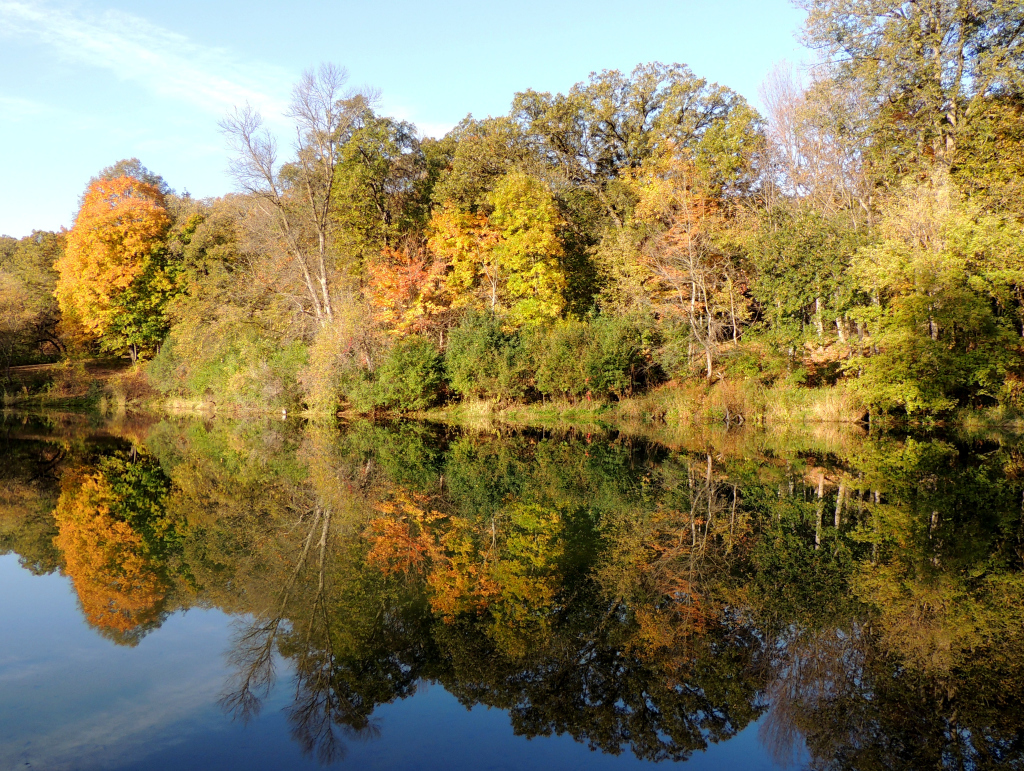 Trees in fall colors reflected on a lake.