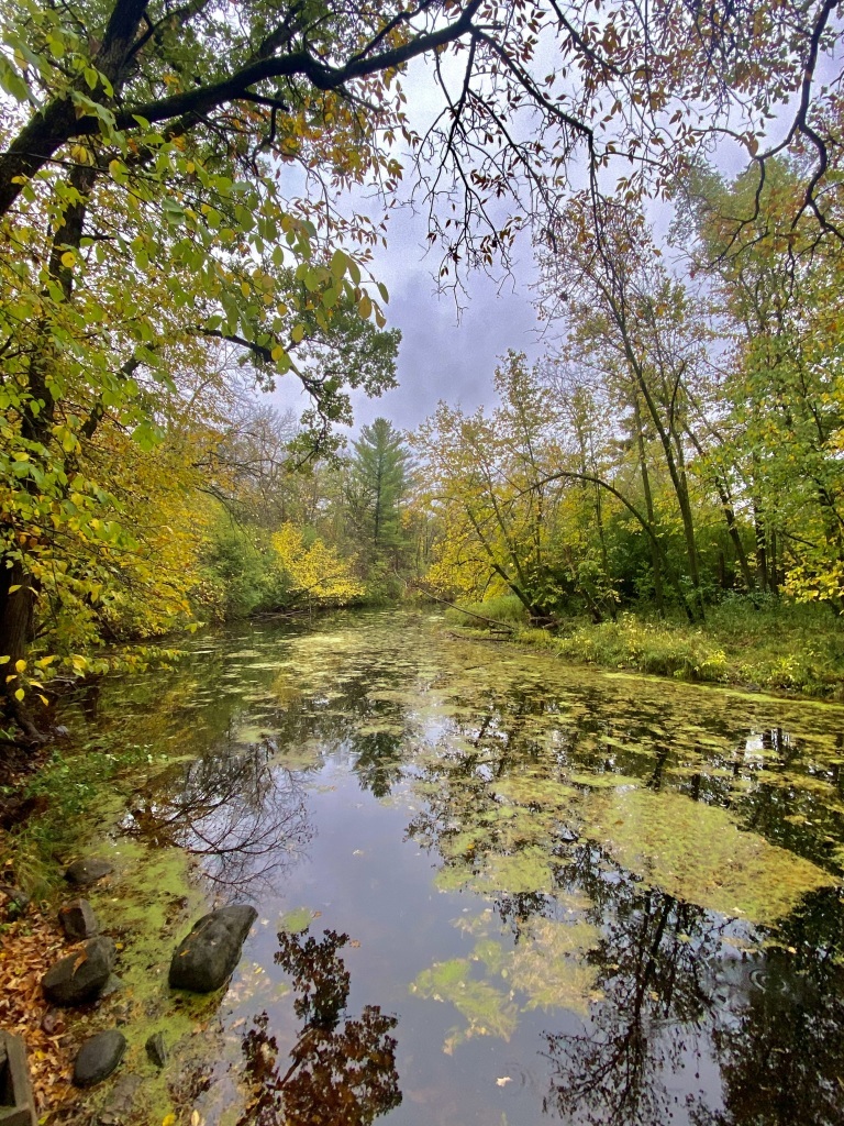 Early fall colors reflected in quiet water.