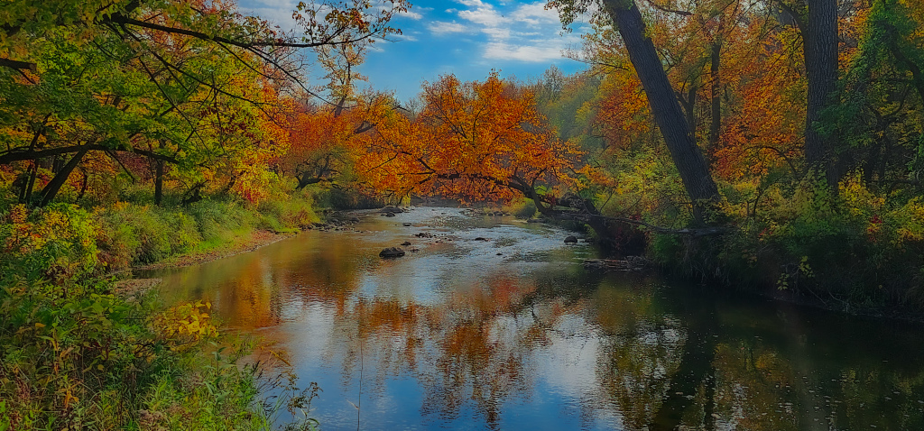 Orange tree over a river that's reflecting the trees on its shores.