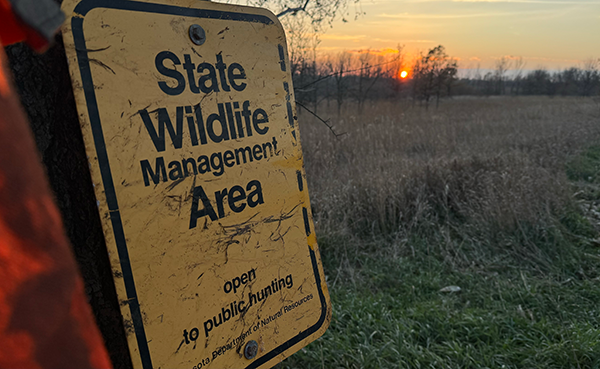 blaze orange next to a wildlife management area sign and a sunset in the background