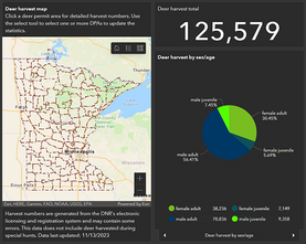 125,579 deer harvested, deer harvest dashboard showing ratio of bucks, does, male juvenile, female juvenile, DNR logo