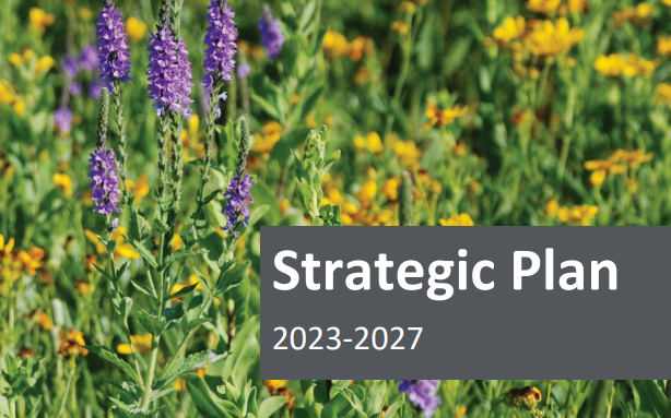 Flowers and a banner that says "strategic plan 2023-2027"