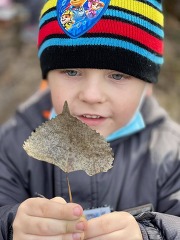 Young child holding a fallen leaf