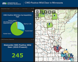 CWD test results dashboard with graphs and map of positive locations and 245 positives in Minnesota to date