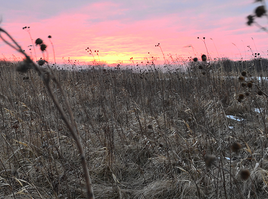 a grassland in winter with a sunset on it