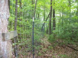 Fencing to exclude deer around forest plot