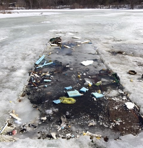 a bunch of litter on and frozen into the ice