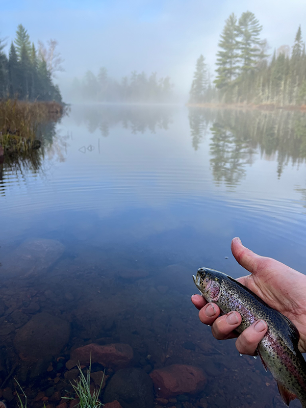 foggy morning with angler's hand holding a trout and lake in Superior National Forest in the background