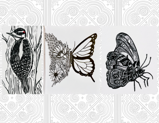 Original illustrations of a downy woodpecker, a Monarch butterfly, and an American painted lady butterfly.