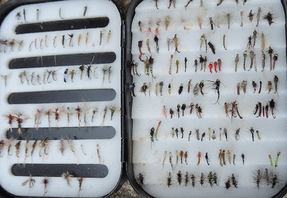 box of tiny flies for fly fishing