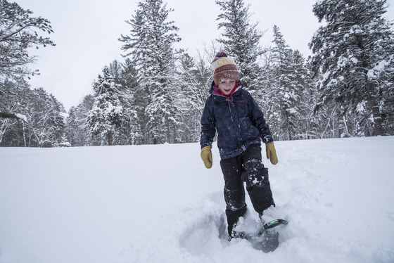 A person bundled in winter gear snowshoes across a blanket of snow