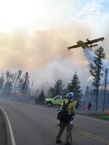 Wildland firefighters watching airplane drop water on wildfire