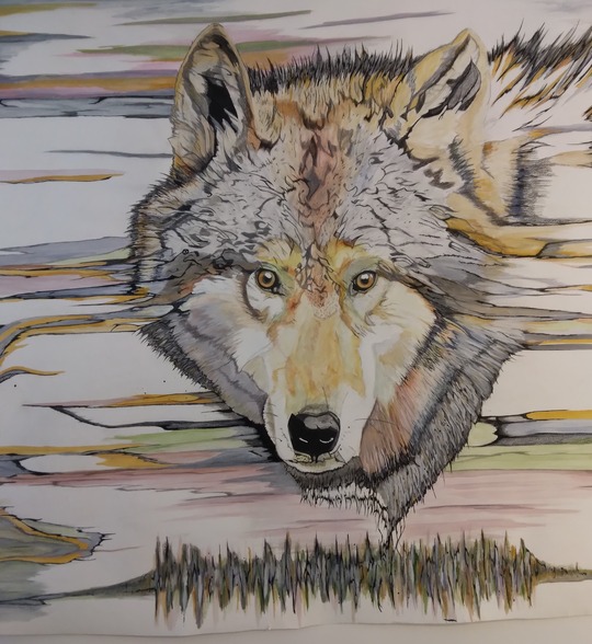 Illustration of a wolf.