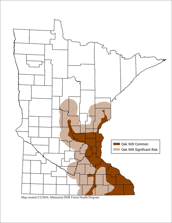 A map showing oak wilt spread and risk in central and southeastern Minnesota