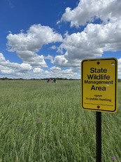 A gold and black wildlife management sign staked next to a remnant prairie