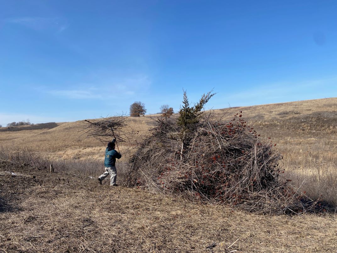 Lost Valley Prairie brush pile