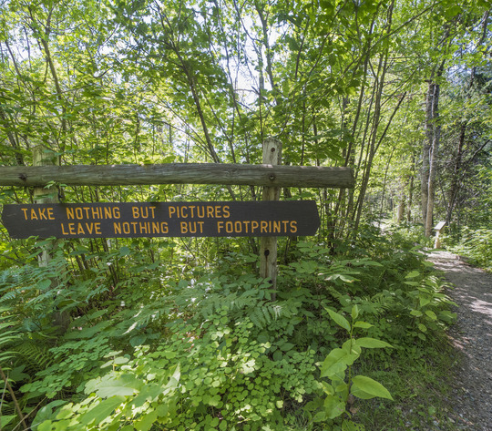 Wood sign on forest path reads, "Take nothing but pictures, leave nothing but footprints."