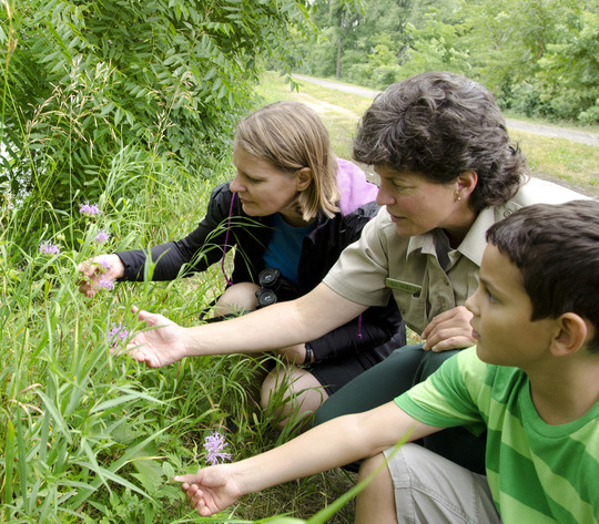 A naturalist, adult, and child inspect a group of wildflowers on the side of a trail together. 