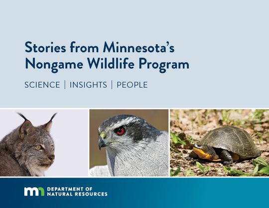 the cover photo of "Stories from  Minnesota's Nongame Wildlife Program"