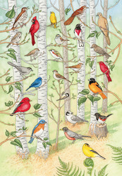 a colorful illustration of many birds