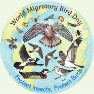 several colorful illustrated birds surrounding the words world migratory bird day 