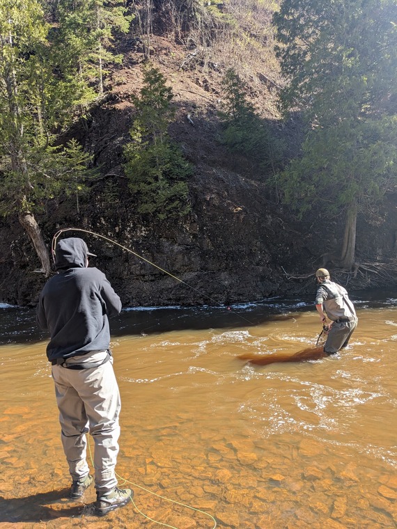 Angler fighting a steelhead on a fly rod while another angler ready with the net.