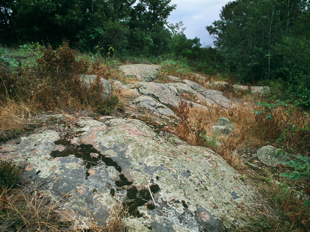 Granite outcrops at Quarry Park SNA during the growing season