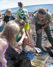 A group of children gather around a park naturalist as they look into a container of water containing little plant pieces. 