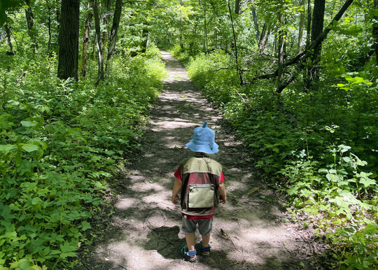 A child walks down a hiking path into a green forest. 