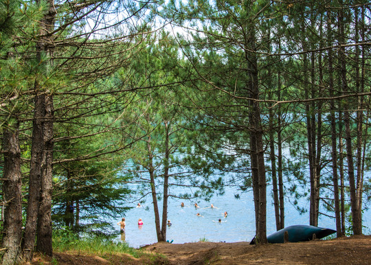 A small swimming area is surrounded by a pine tree ladden shoreline.